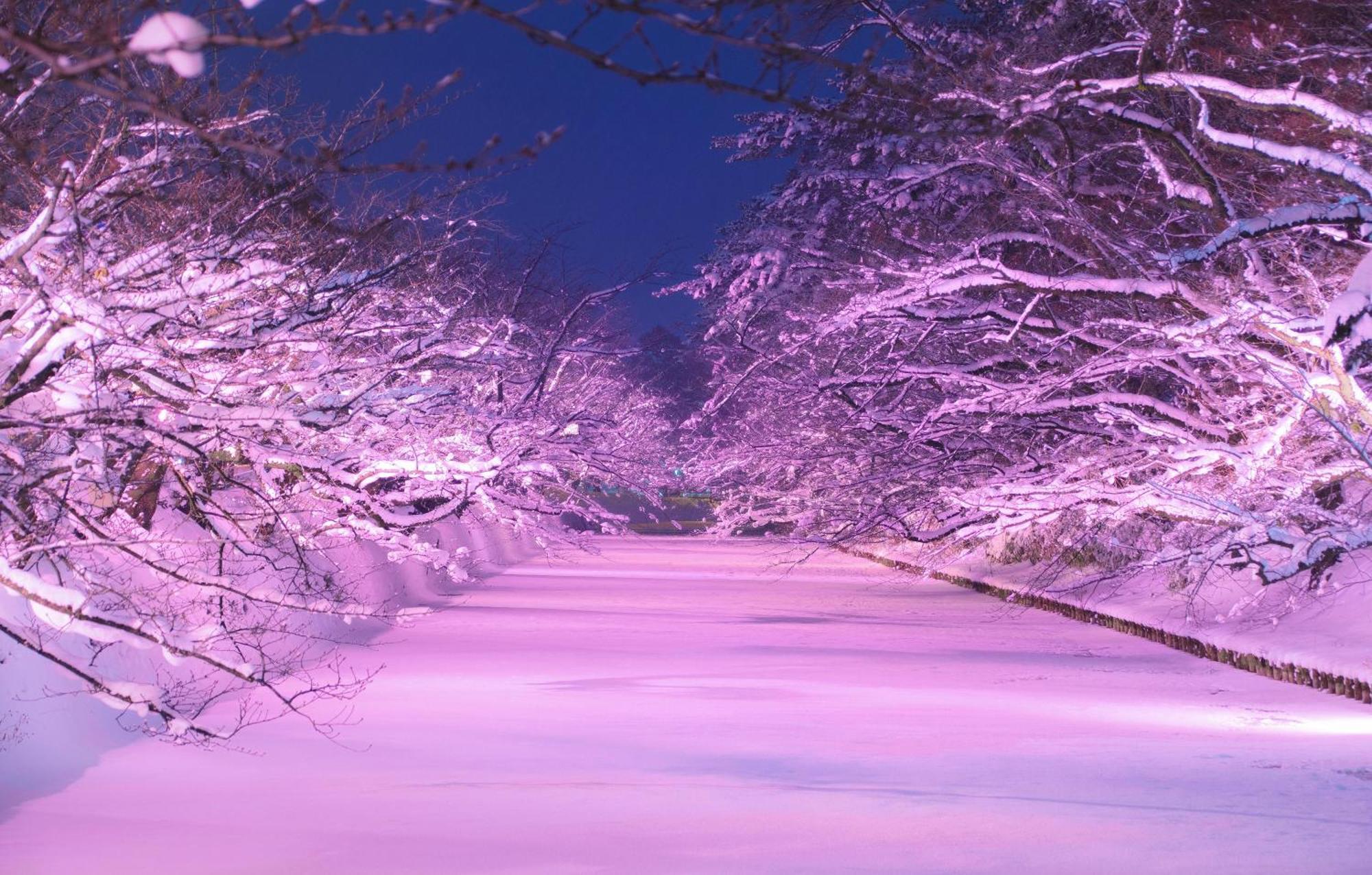 Hirosaki Park Hotel Aomori Ngoại thất bức ảnh